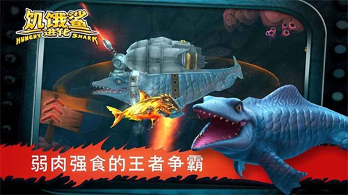 饥饿鲨中文版截图2